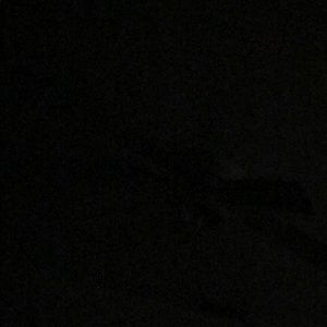 Meet your Posher, Irene